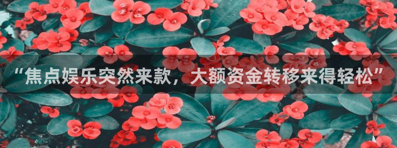 伟德国际手机app下载：“焦点娱乐突然来款，大额资金转移来得轻松”
