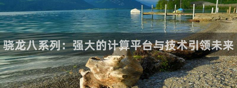 伟德国际1946：骁龙八系列：强大的计算平台与技术引领未来