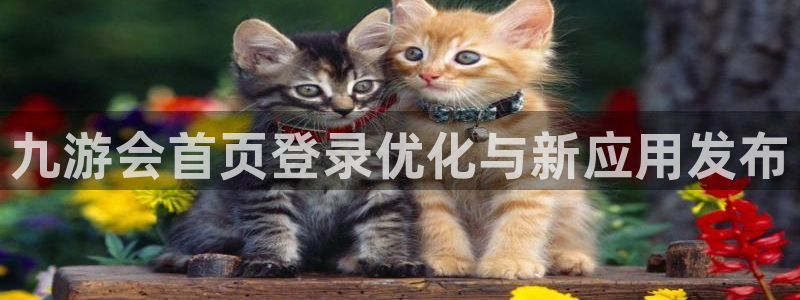伟德国际1946：九游会首页登录优化与新应用发布