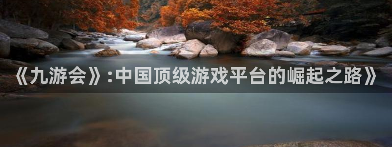 bevitor·伟德国际：《九游会》:中国顶级游戏平台的崛起之路》