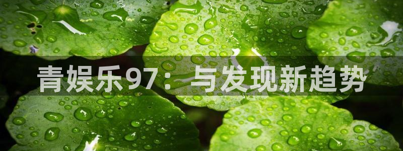 伟德国际1946 app：青娱乐97：与发现新趋势