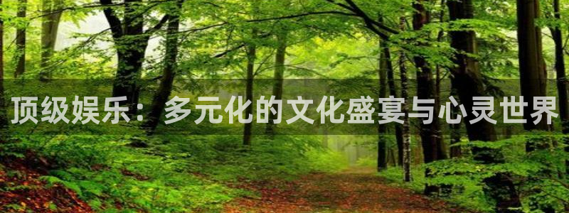 伟德国际官网_伟德国际平台：顶级娱乐：多元化的文化盛宴与心灵世界