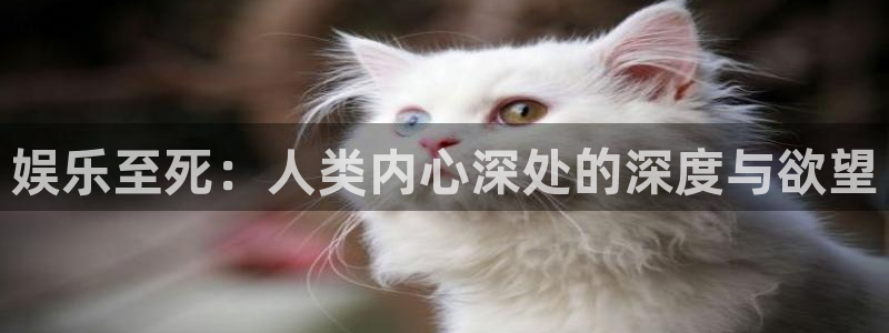 伟德app官网下载：娱乐至死：人类内心深处的深度与欲望