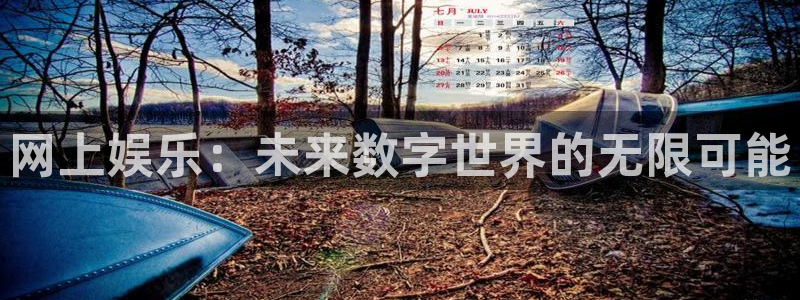 伟德国际app下载安装：网上娱乐：未来数字世界的无限可能