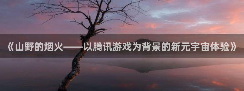 伟德国际1946官网：《山野的烟火——以腾讯游戏为背景的新元宇宙体验》