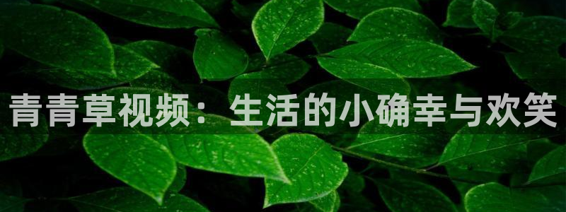 伟德app官网下载：青青草视频：生活的小确幸与欢笑
