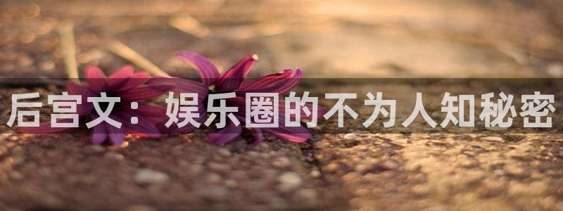 伟德app下载