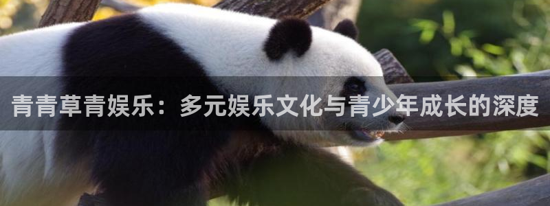 伟德国际app