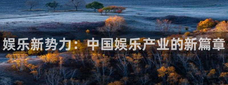 伟德app下载安卓版