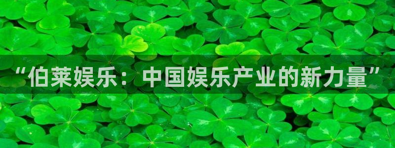伟德国际旗下有哪些品牌