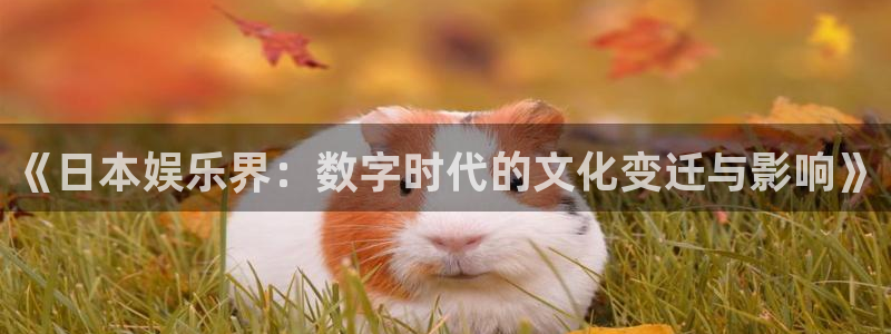 伟德国际mobi