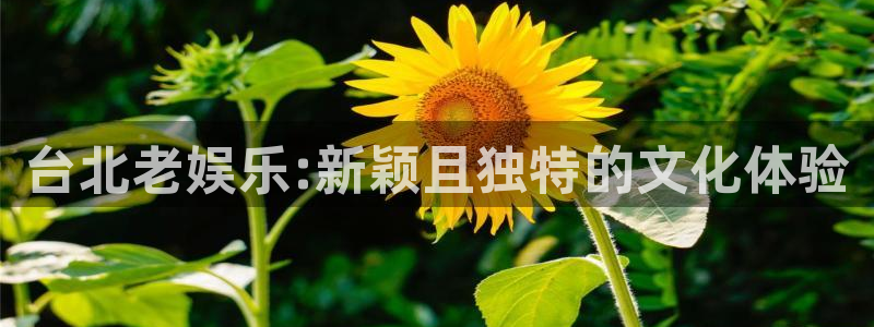 伟德国际吧