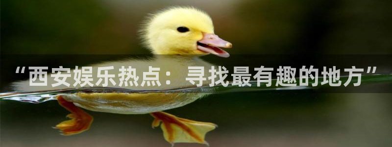 伟德国际1946官网