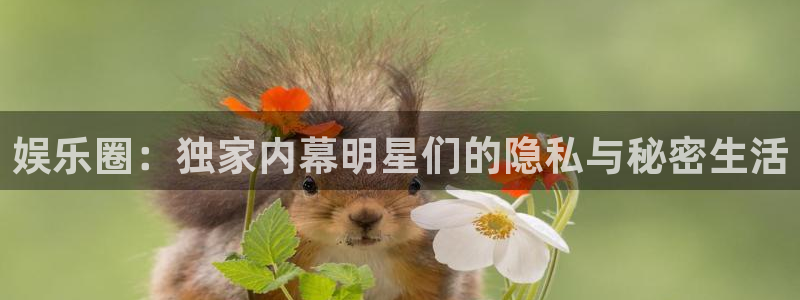 伟德国际betvlctor