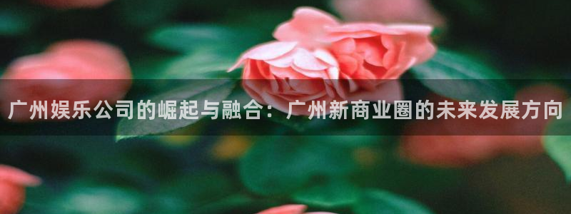 伟德国际是什么意思