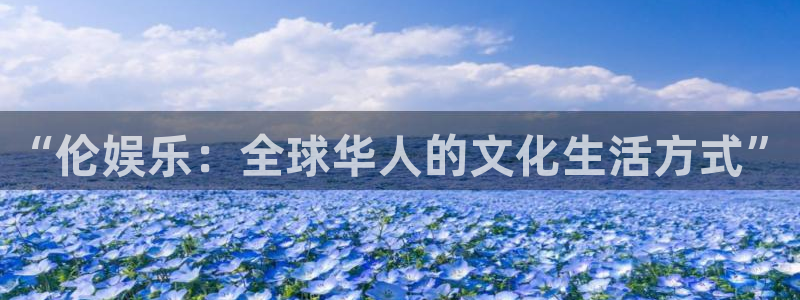 伟德国际企业有限公司