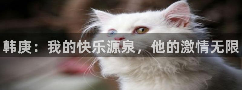 伟德app官网下载
