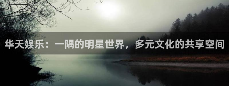 伟德国际中文