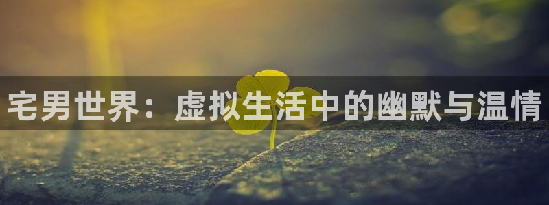 伟德国际app：宅男世界：虚拟生活中的幽默与温情